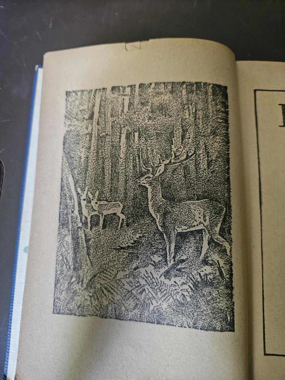 BAMBI Felix Salten Hardcover 1929 Simon & Schuster Spine Damage
